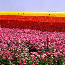 PLAYISM游戏展：《黄昏沉眠街》主机版4月28日发售