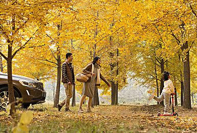 《笼子》登陆Steam 合作创意恐怖冒险