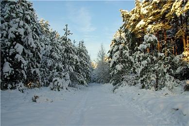 《失落迷城》“英灵的呼唤”DLC发售 国区定价45元