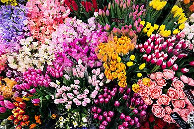 《Saros》全新实机演示 《死亡回归》风格